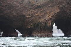 1153-Isole Ballestas,19 luglio 2013